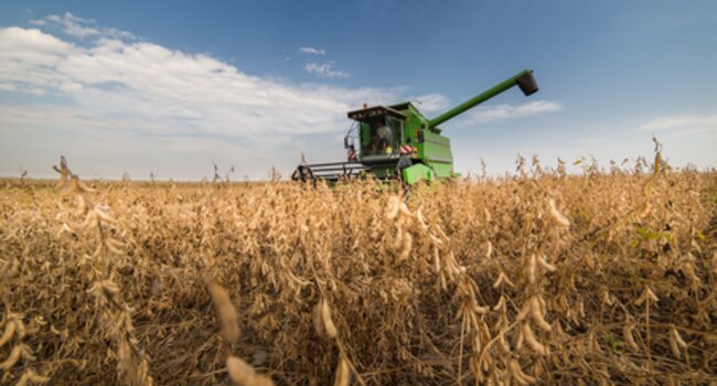 The Soy Toolkit: Resources for Responsible Soy Sourcing