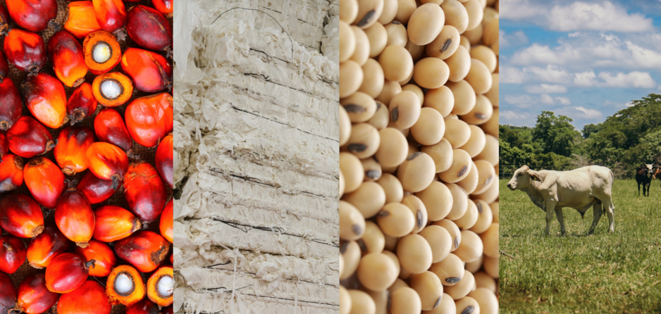 Guidance for Deforestation-Free Supply Chains