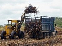 The Proforest Initiative supports recognition process between standard organisations