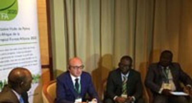Towards Marrakesh: sustainable palm oil agreement between nine African countries
