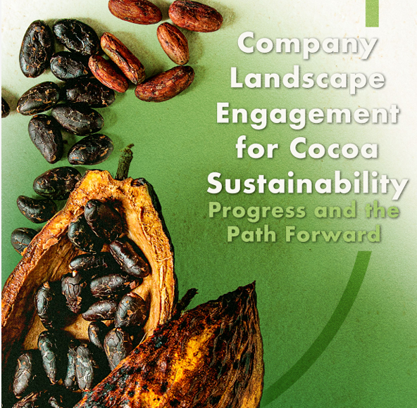 Company Landscape Engagement for Cocoa Sustainability: Progress and the Path Forward