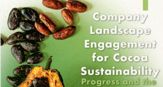 Company Landscape Engagement for Cocoa Sustainability: Progress and the Path Forward