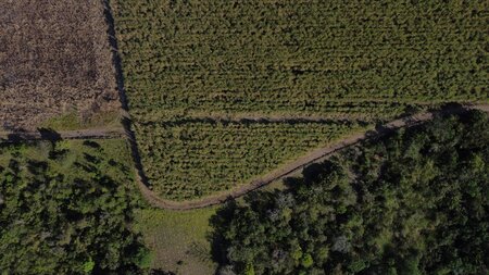 Decarbonisation of Agricultural and Forestry Supply Chains in Brazil: A Call for Engagement