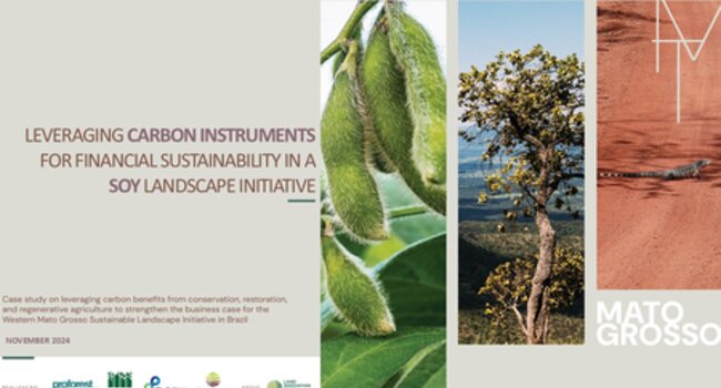 Proforest and partners launch report on Carbon and Financial Sustainability in Soy Landscape Initiatives