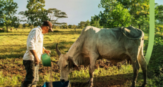 Starting the Journey: Companies Collaborate for Beef Sustainability at Scale