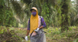 casual dialy worker's rights