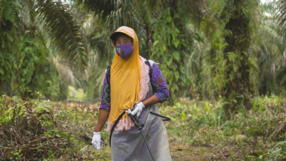 casual dialy worker's rights