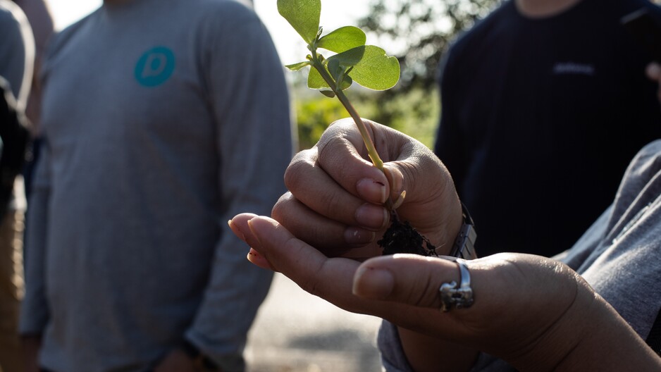 Proforest entra en el primer consorcio de agricultura regenerativa de América Latina