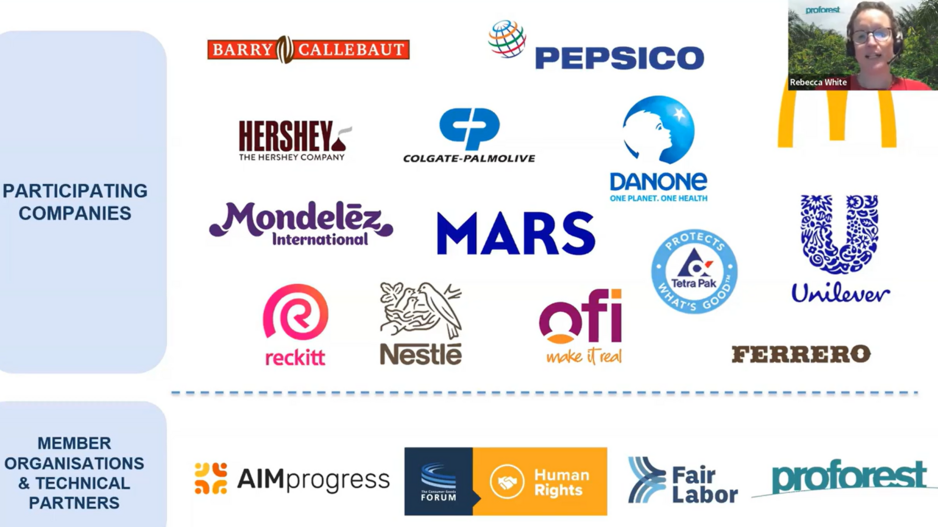 Converged Human Rights and Environmental Due Diligence Assessment Tool Launch