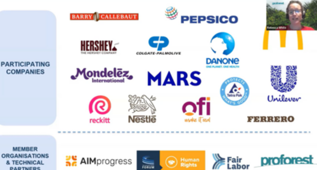 Converged Human Rights and Environmental Due Diligence Assessment Tool Launch