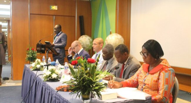 Driving forward deforestation-free palm oil production in Africa