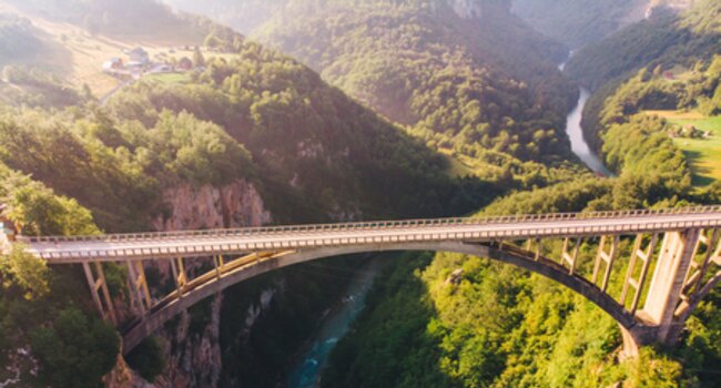 Proforest announces new funding for BRIDGE programme