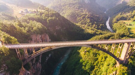 Proforest announces new funding for BRIDGE programme