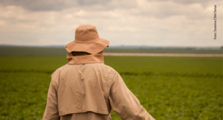 man in a soy field