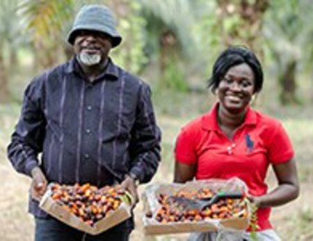 Teaching Best Management Practices for oil palm cultivation in Ghana