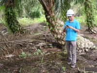 Aplicación móvil y panel de control para el Enfoque Simplificado de AVC probado en campo