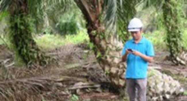 Aplicación móvil y panel de control para el Enfoque Simplificado de AVC probado en campo