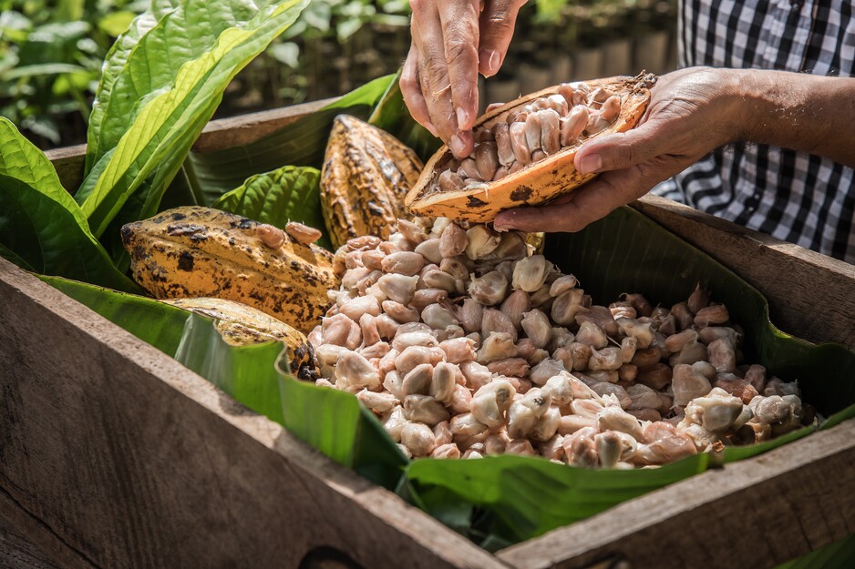 Bringing global companies and producer initiatives together - lessons learned and next steps