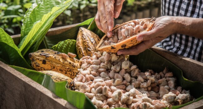 Bringing global companies and producer initiatives together - lessons learned and next steps
