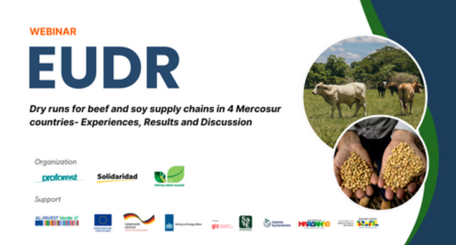Proforest and partners hold webinar ‘EUDR – Dry Runs for Beef and Soy Supply Chains in 4 Mercosur Countries’