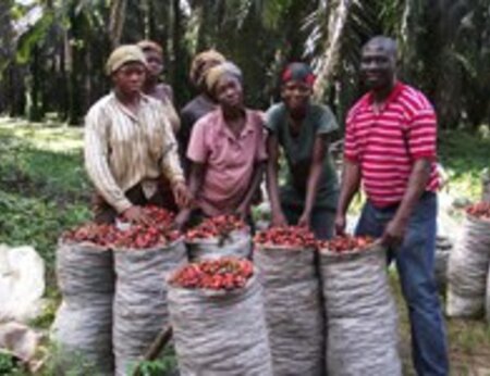 Africa: the new palm oil frontier? Proforest joins the debate