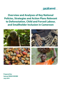 Overview and Analyses of Key National Policies, Strategies and Action Plans, Cameroon