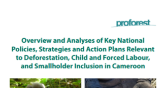 Overview and Analyses of Key National Policies, Strategies and Action Plans, Cameroon