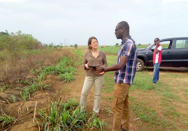 Aplicación Informática de Proforest Field Audit