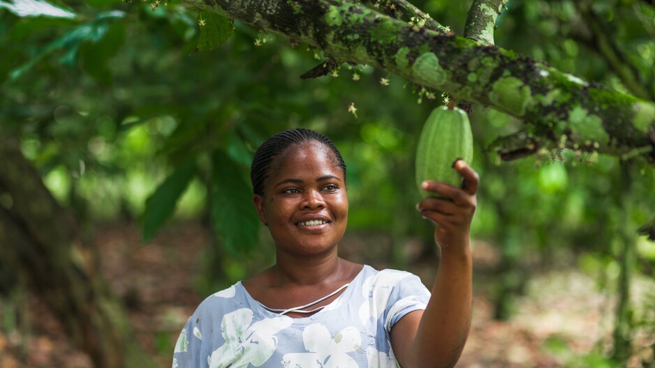 Africa-Latin America Exchange Webinar