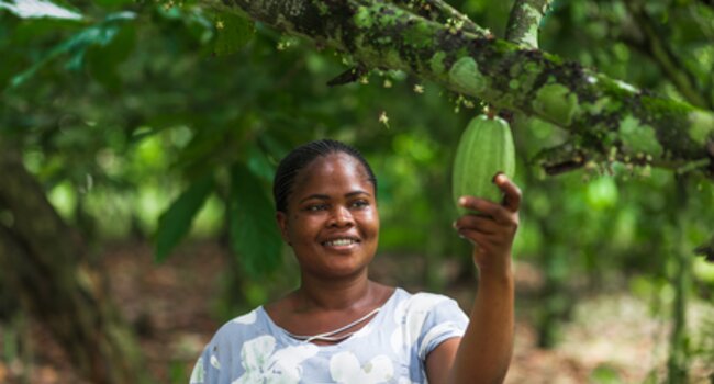 Asunafo Asutifi Farmer