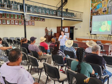 Conservation and production: building capacity to identify High Conservation Value areas in sugarcane landscapes