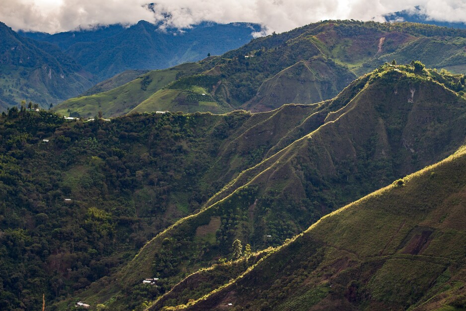 How to have a positive impact in a risky world