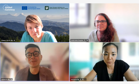Proforest takes part in international webinar on public-private collaboration for the zero deforestation agenda