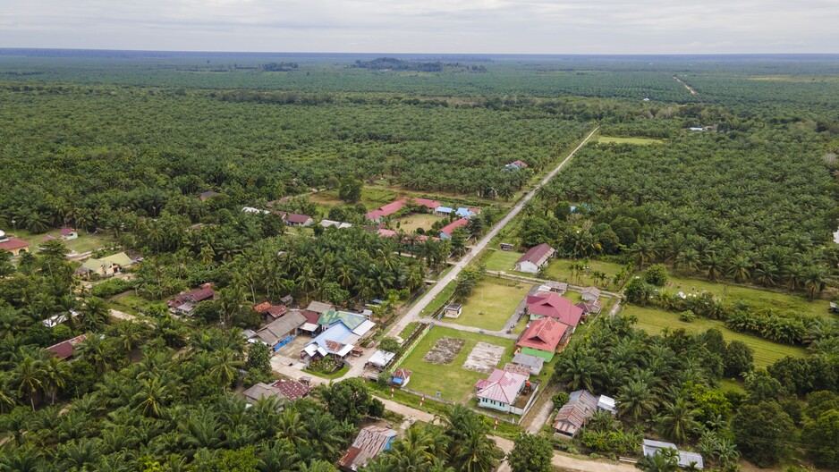 Sungai Linau Livelihoods