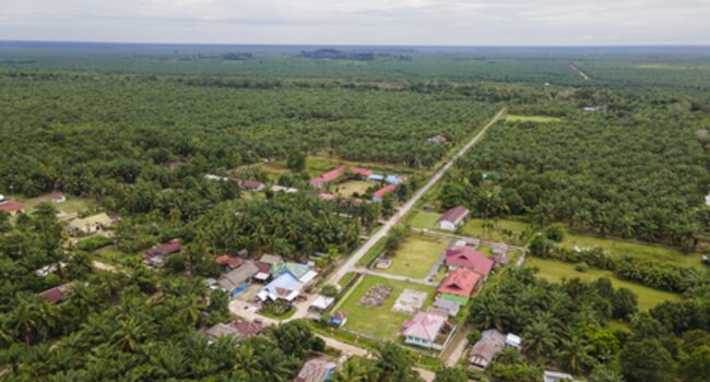 Sungai Linau Livelihoods