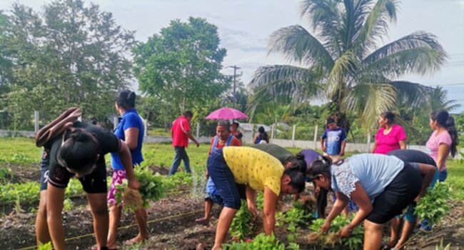 Agrovita programme, Mexico