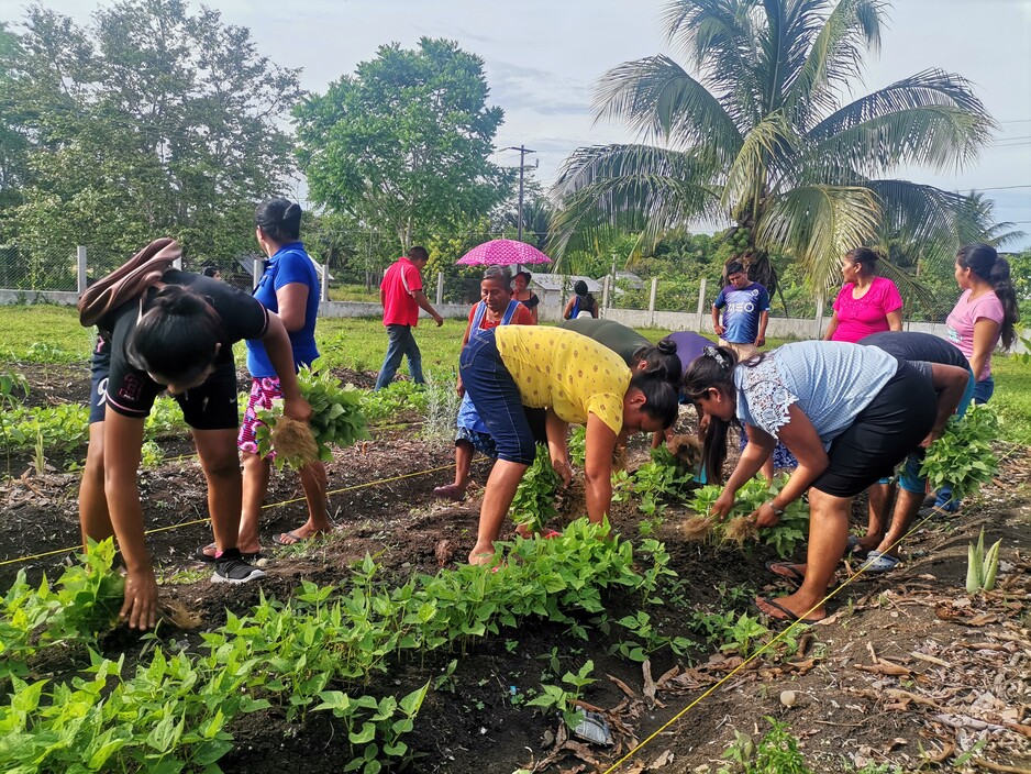 Agrovita programme, Mexico