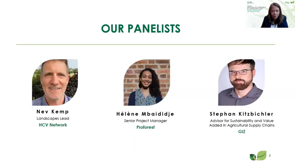 Applying HCV Approach at Landscape Scale: From Screening to Protection