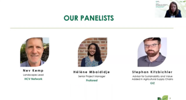 Applying HCV Approach at Landscape Scale: From Screening to Protection