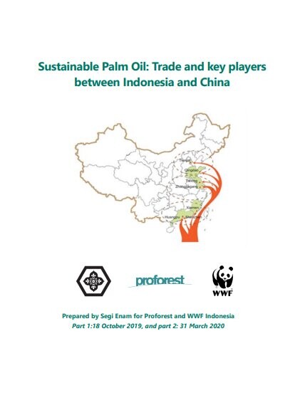 Sustainable Palm Oil: Trade and key players between Indonesia and China