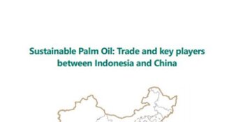 Sustainable Palm Oil: Trade and key players between Indonesia and China
