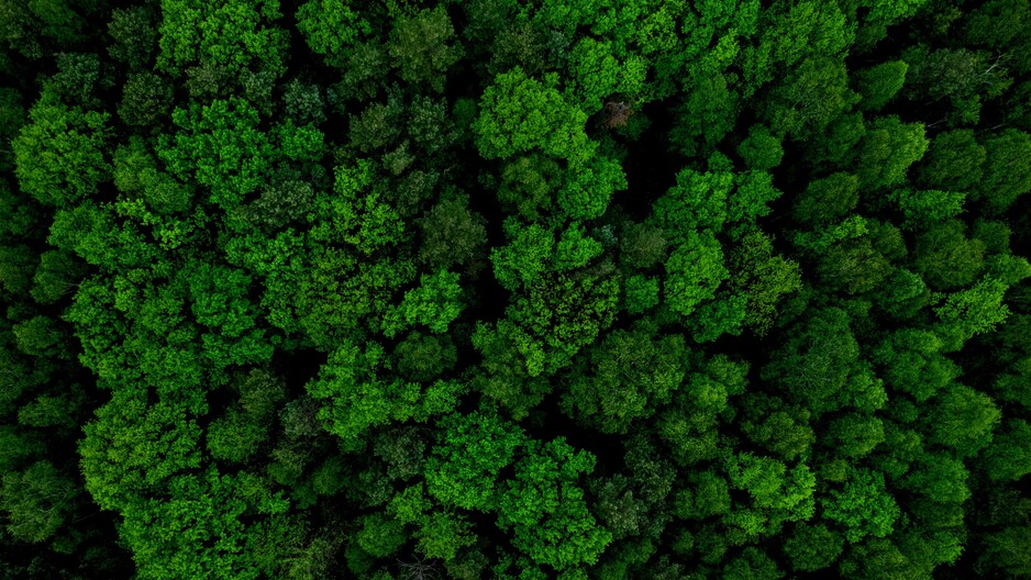 Sustainable Retail Summit