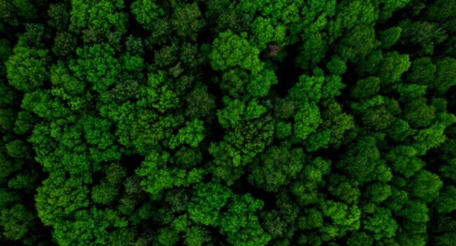 Sustainable Retail Summit