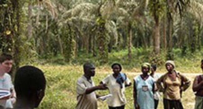 Congratulations to GOPDC on their RSPO certification!