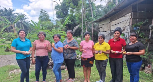 Diversifying to build resilience: how livelihood workshops are strengthening palm-growing communities in southeastern Mexico