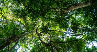 Converged HREDD Assessment Tool and Guidance