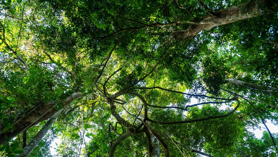 Herramienta y Guía de Evaluación Convergente de HREDD