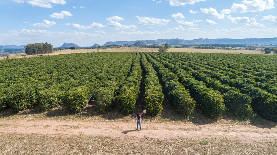 Integrating Human Rights into Climate Action