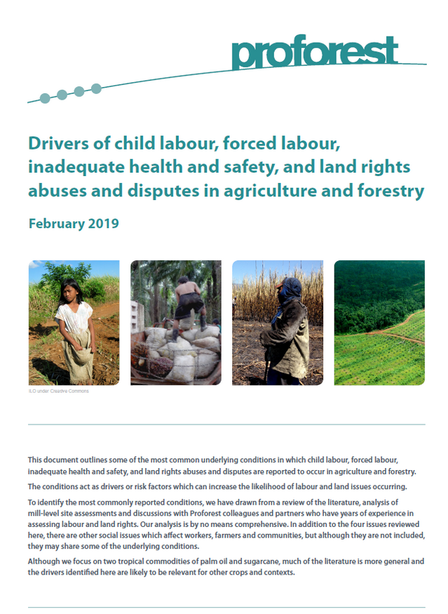 Drivers of social risk