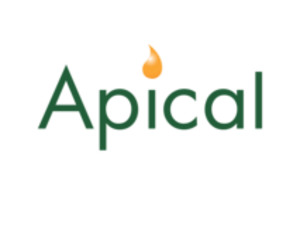 Apical